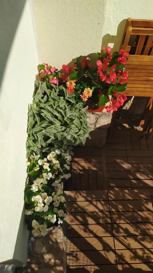 Apartamento Lea - Sea&city View With Terrace *